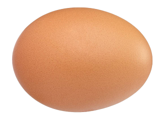 Egg